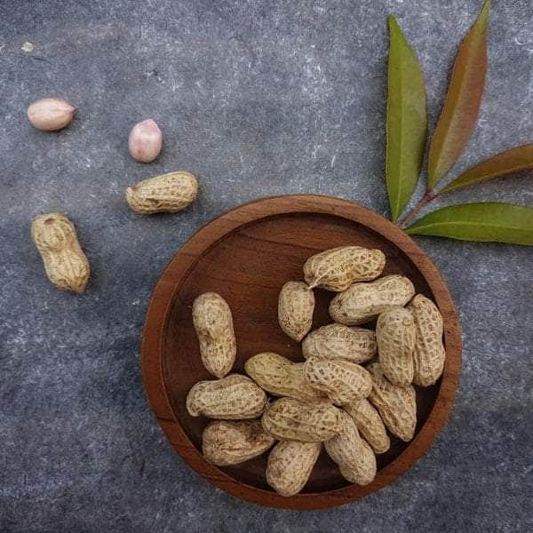 AcquaGarden Plants Peanut Plants