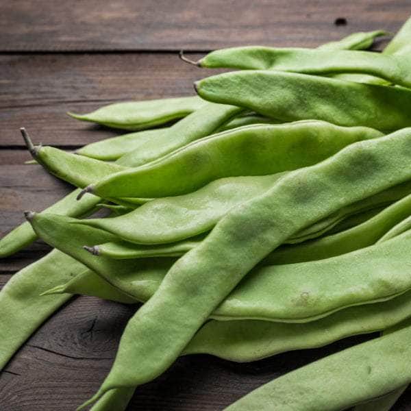AcquaGarden Plants Runner Beans 'Tenderstar'