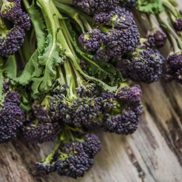 AcquaGarden Plants Vegetable Full Plants Mega-Pack 1 – Mixed Varieties - 72 x Full Plants