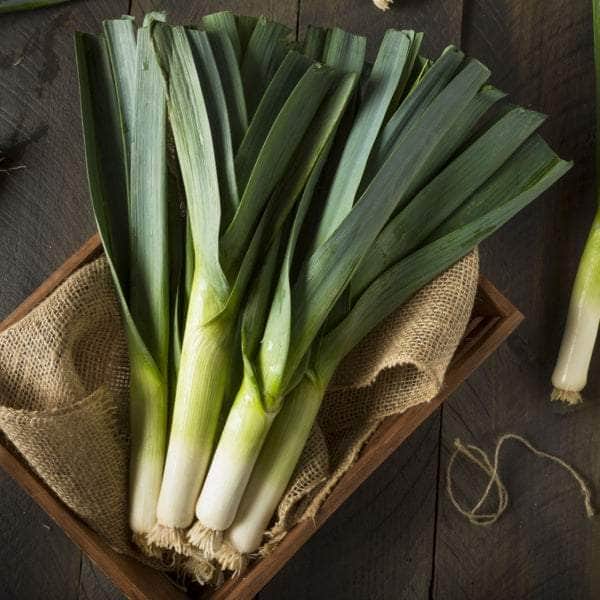 AcquaGarden Plants Vegetable Full Plants Mega-Pack 1 – Mixed Varieties - 72 x Full Plants