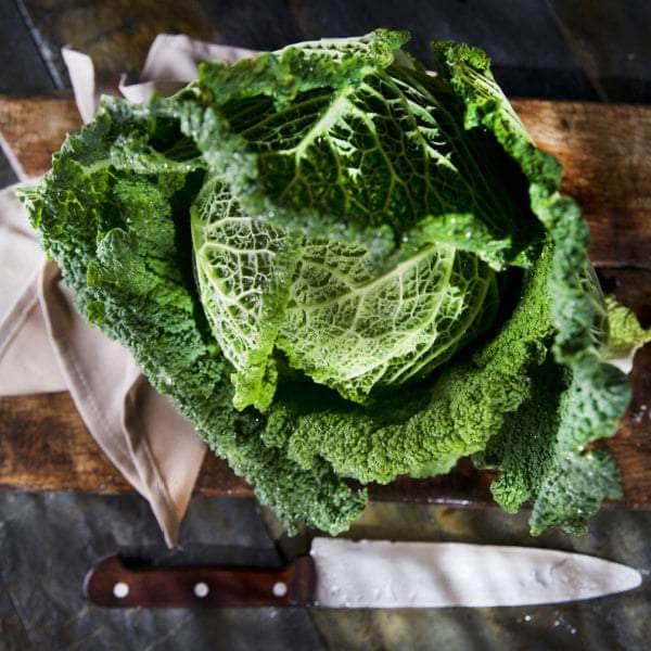 AcquaGarden Plants Vegetable Full Plants Multi-Pack 4 – Mixed Varieties - 48 x Full Plants