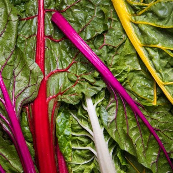 AcquaGarden Plants Vegetable Full Plants Multi-Pack 4 – Mixed Varieties - 48 x Full Plants