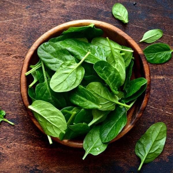 AcquaGarden Plants Vegetable Plug Plants Multi-Pack 3 – Mixed Varieties - 24 x Plug Plants