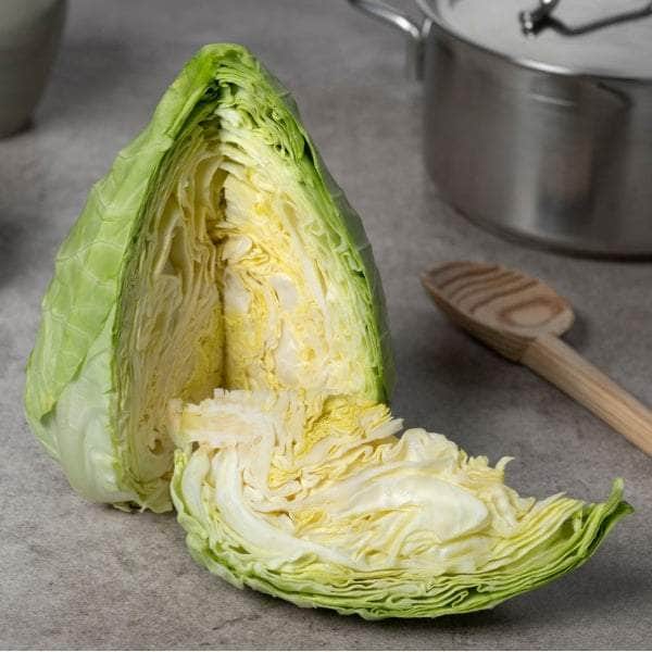 AcquaGarden Plants Vegetable Plug Plants Multi-Pack 3 – Mixed Varieties - 24 x Plug Plants