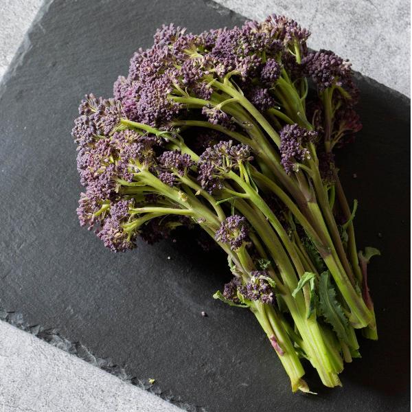 AcquaGarden Purple Sprouting Broccoli