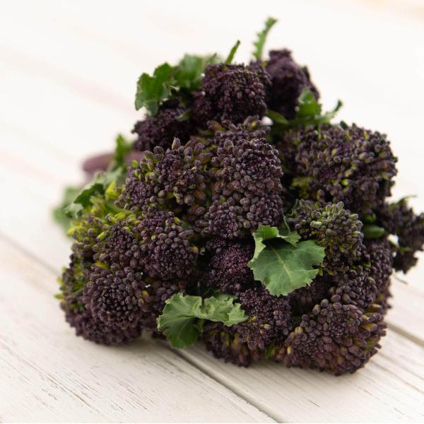 AcquaGarden Purple Sprouting Broccoli