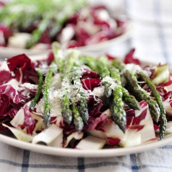 AcquaGarden Radicchio 'Amaranta'