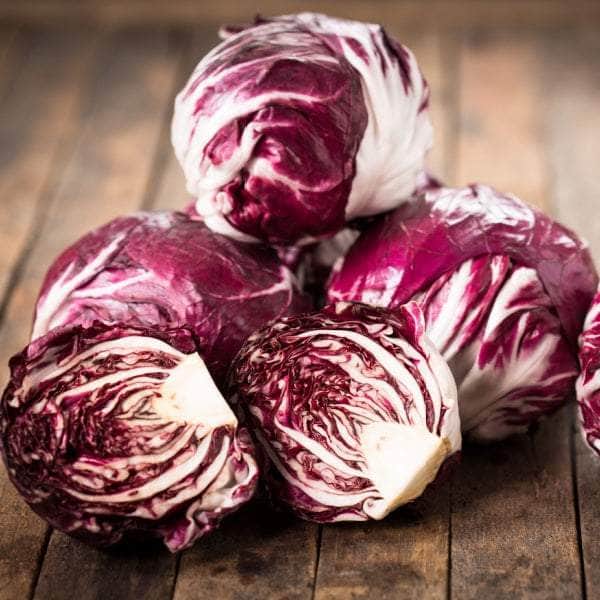 AcquaGarden Radicchio 'Amaranta'