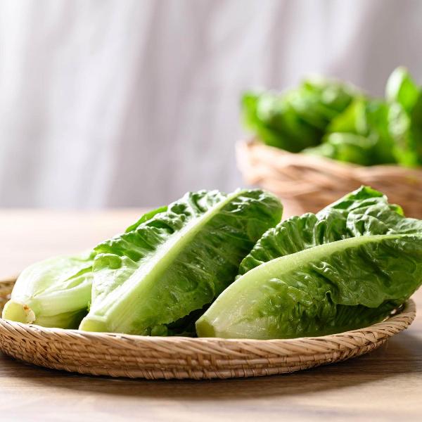 AcquaGarden Romaine Lettuce