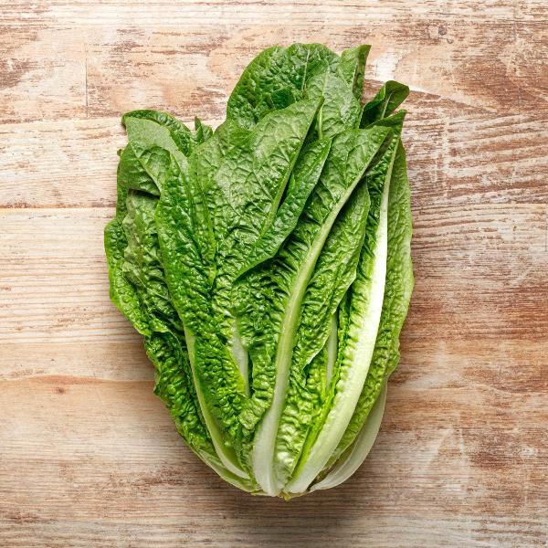 AcquaGarden Romaine Lettuce