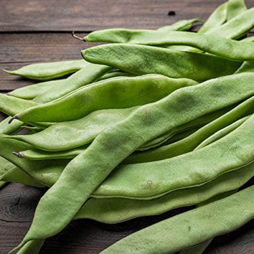 AcquaGarden Runner Beans 'Firestorm'