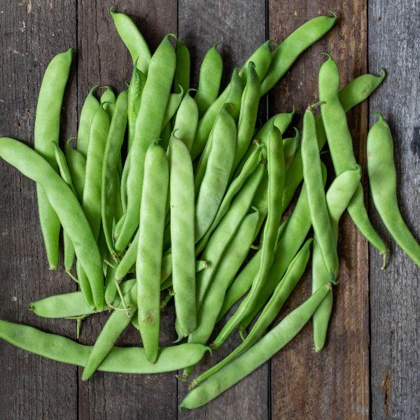 AcquaGarden Runner Beans 'White Lady'