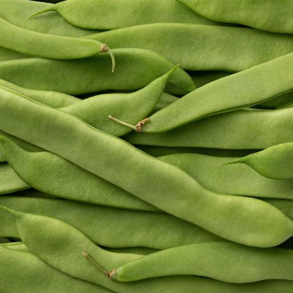 AcquaGarden Runner Beans 'White Lady'