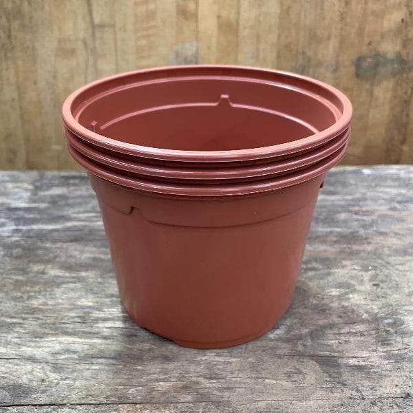 1 litre plant pot Soparco 13cm Premium Growers Plant Pots Brown 1L – AcquaGarden