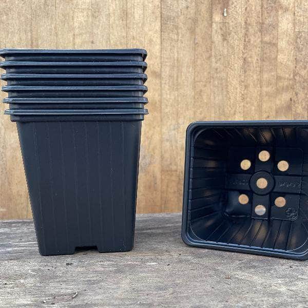9cm plant pot Soparco Square 9cm Black Nursery Pots
