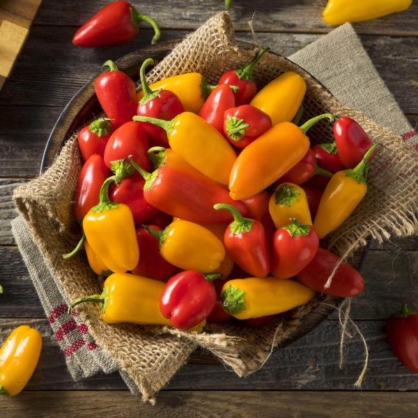AcquaGarden Sweet Pepper 'Lunch Box'