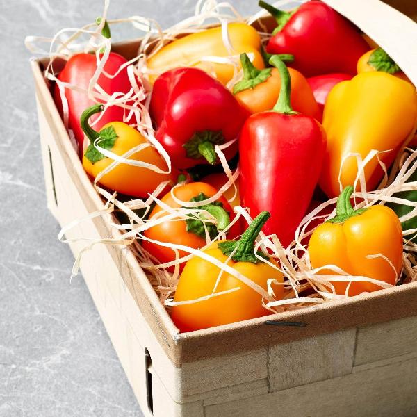AcquaGarden Sweet Pepper 'Lunch Box'