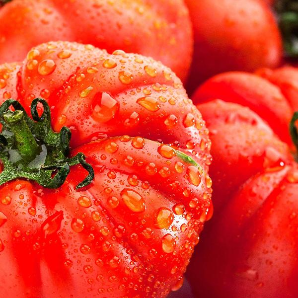 AcquaGarden Tomato 'Beefsteak'