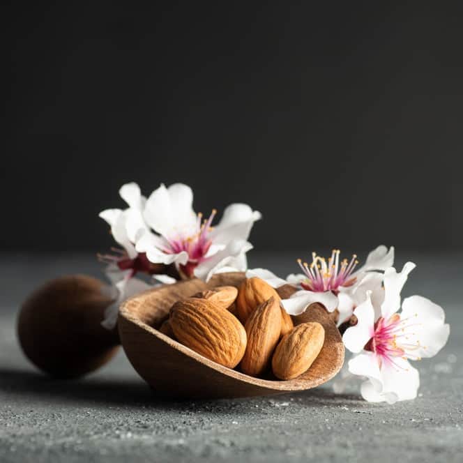 AcquaGarden Trees Flowering Almond Tree