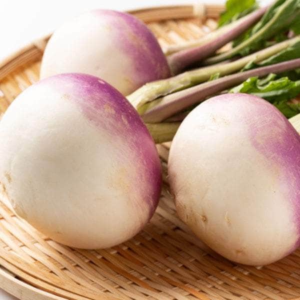 AcquaGarden Turnip 'Purple Top Milan'