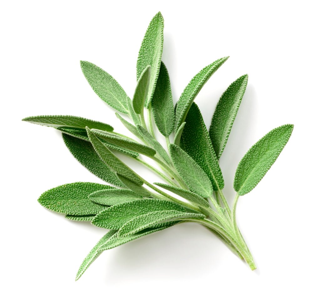 https://www.acquagarden.co.uk/cdn/shop/products/parsley-sage-rosemary-and-thyme-4-x-seed-varieties-555999_1445x.jpg?v=1650485091